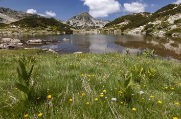 What gets you out of bed and why should you relocate to the periphery?
