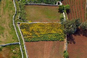 Copyright Daniel Cilia