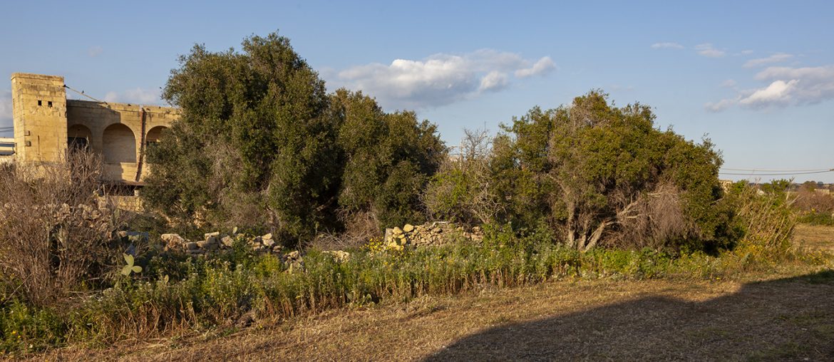 Residents battle 92 flats set to impinge on urban conservation area and add congestion to Gozo’s busiest road