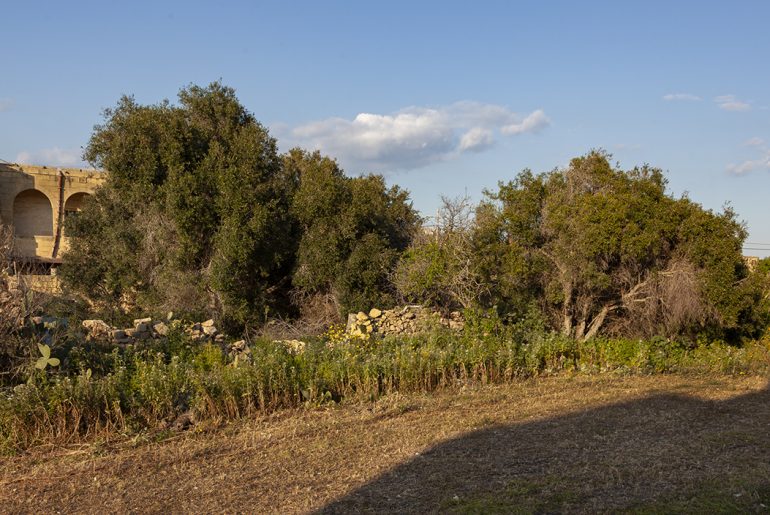 Residents battle 92 flats set to impinge on urban conservation area and add congestion to Gozo’s busiest road