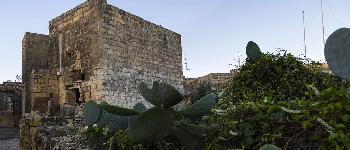 Charming alley in historic town core faces oppressive overdevelopments in breach of law