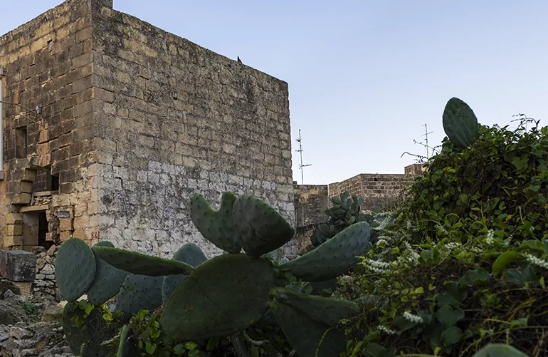 Charming alley in historic town core faces oppressive overdevelopments in breach of law