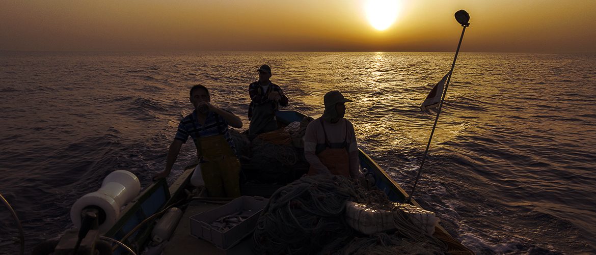 Swordfish scarcity in the central Mediterranean intensifies amid uncertainty surrounding recovery plan