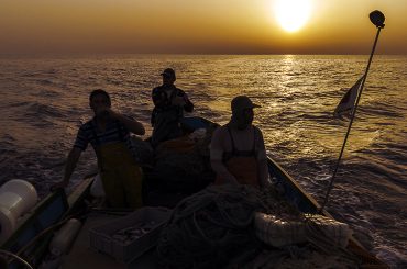 Swordfish scarcity in the central Mediterranean intensifies amid uncertainty surrounding recovery plan