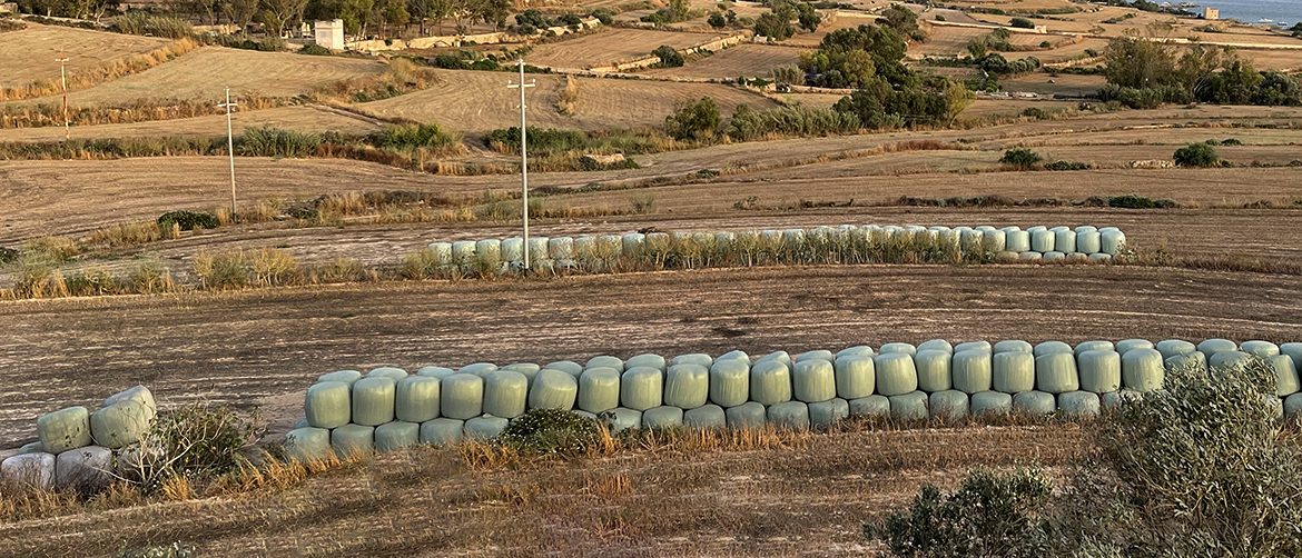 Cattle farmer battles eviction from hay fields offered for sale for hundreds of thousands of euros
