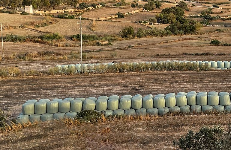 Cattle farmer battles eviction from hay fields offered for sale for hundreds of thousands of euros