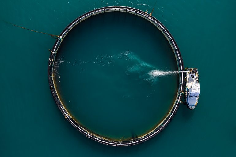 Malta: a centre for the most damaging fish-farming industry